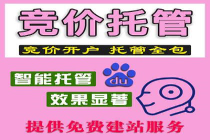 SEM代理案例：优化策略助力企业增长